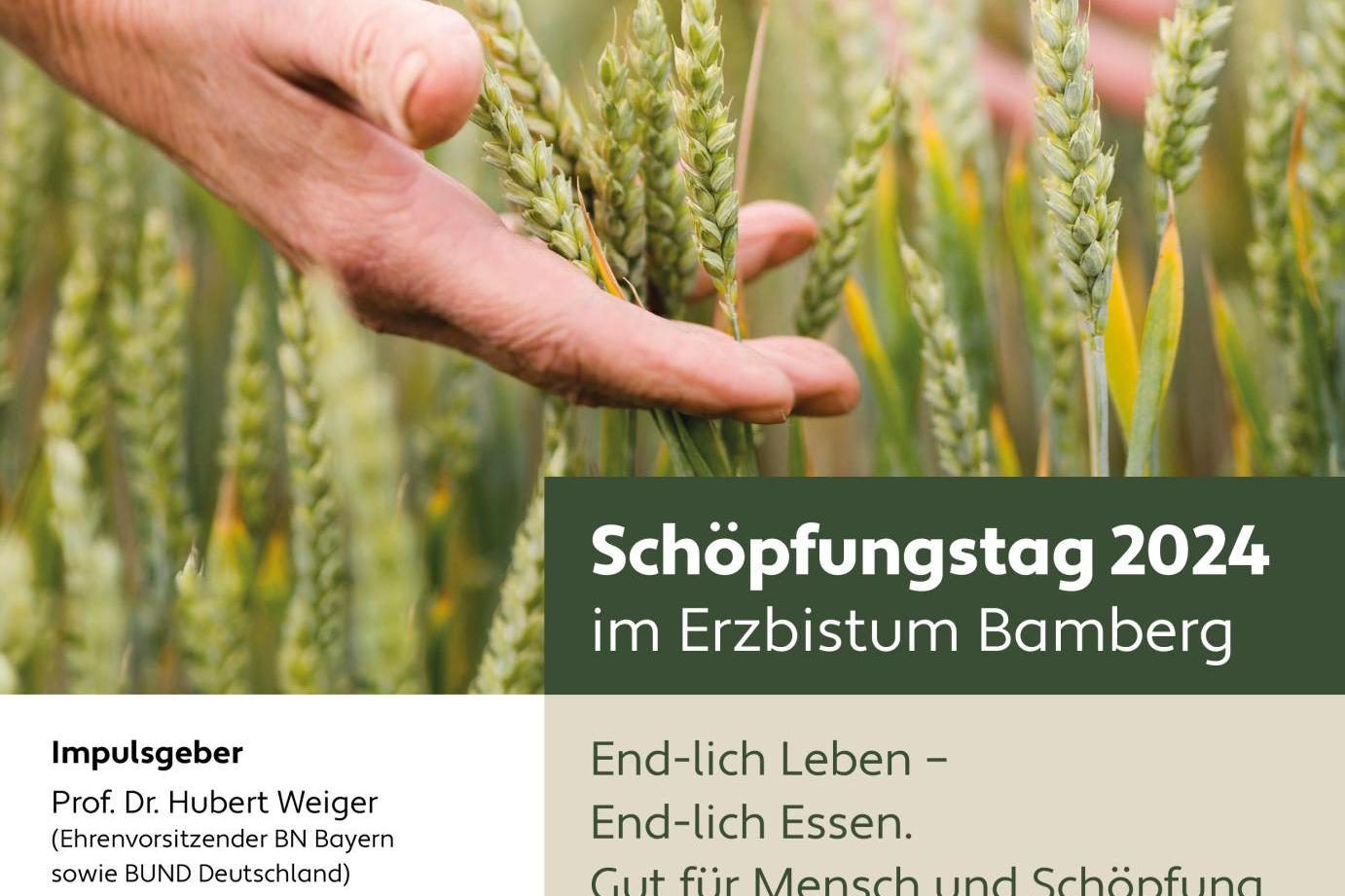 Plakat zum Schöpfungstag 2024